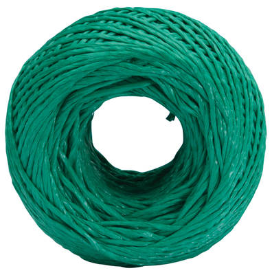 POLYTWINE_1