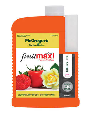 FRUIT500.jpg