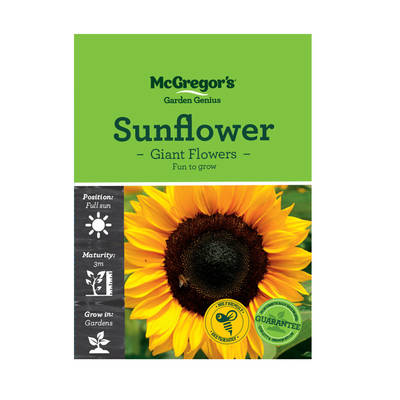 M2860-Giant-Sunflowers_Front