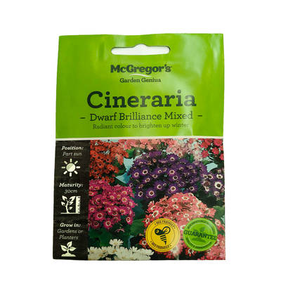 M2140-Cineraria-Dwarf-Brilliance-Mixed_Table-Sowing-Guide_Front